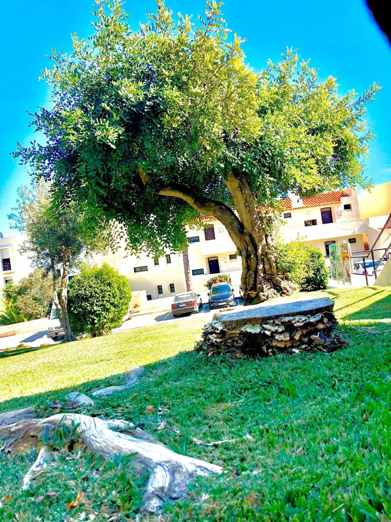 Albufeira Jardim - Apartamentos Turisticos المظهر الخارجي الصورة