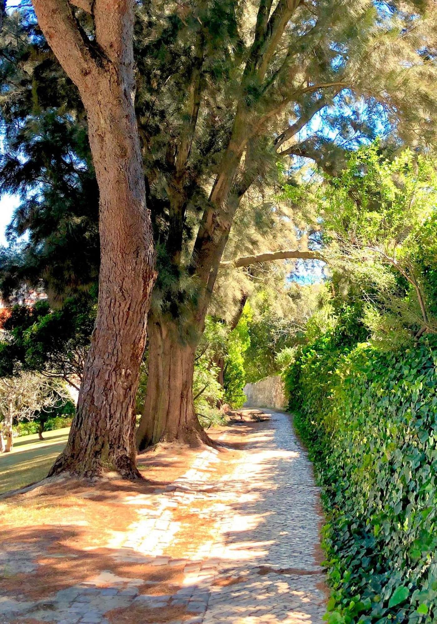 Albufeira Jardim - Apartamentos Turisticos المظهر الخارجي الصورة